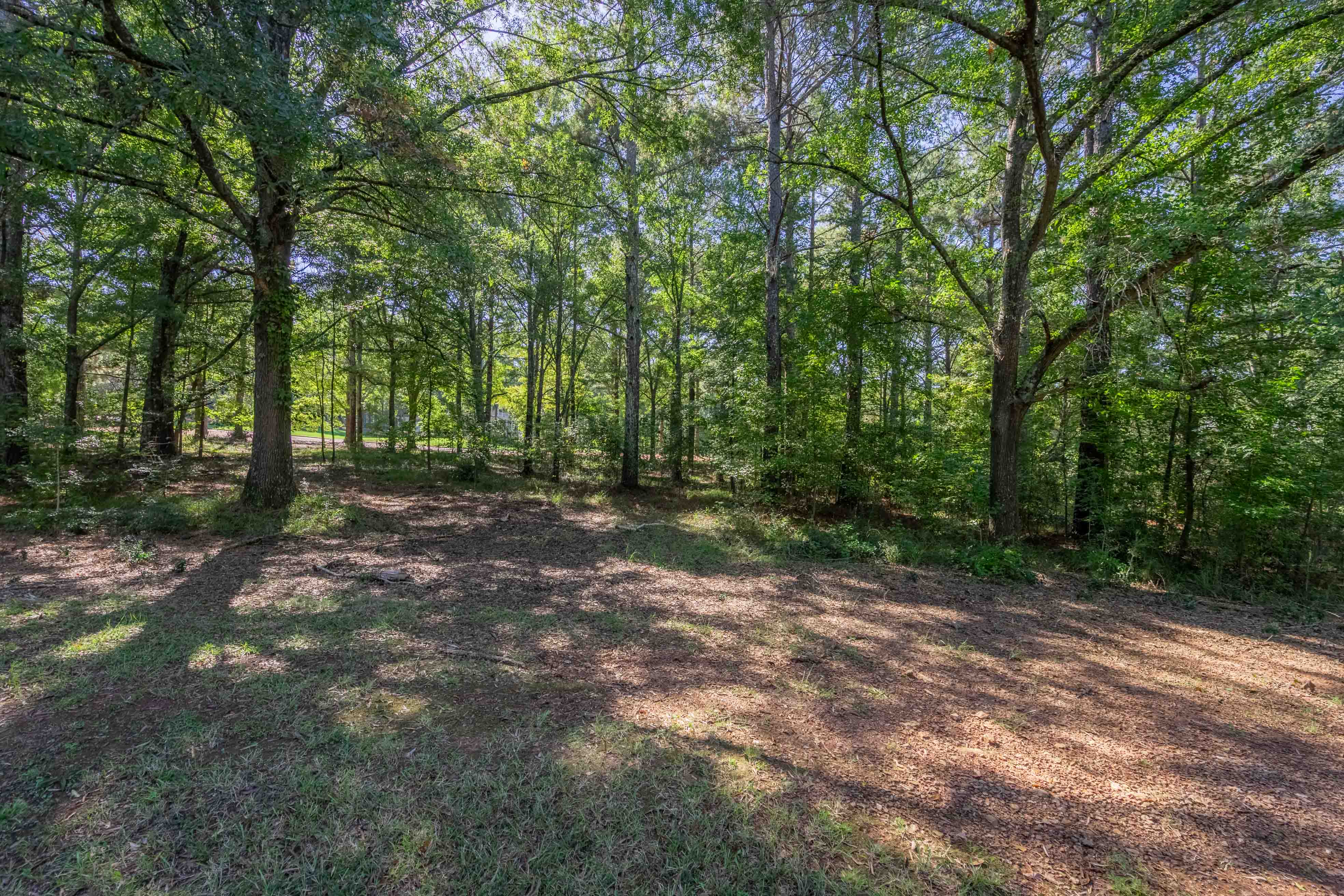 236 Broadlands Drive image 2